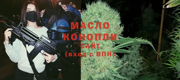 прущие грибы Саяногорск