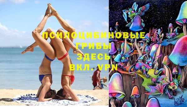 молекула духа Баксан